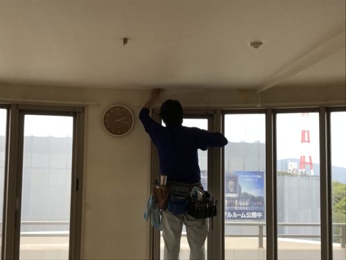 54ed94a0-8850-4f53-9757-1a4b8520c847