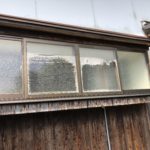 051e50ae-b44c-4366-866f-9fd2f5b3f63f