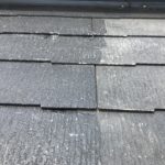 2c6b096a-7802-4690-a576-10ef76b20108