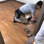 5a1b8616-a681-4eab-8217-e3dfcaf47056