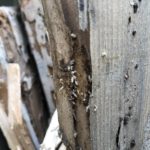 909316a8-17e9-419f-94b8-611f66792247