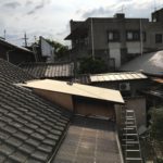 226aa1ca-1c1b-4f44-9317-e07cfe999e50