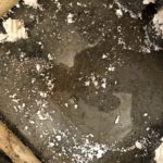 2702161e-e7ff-4921-bfc7-09de259dcc6c