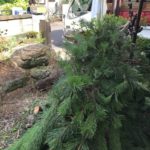 3b3d6c05-2b27-4c79-bbe1-b0a1c6291170