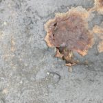 3d323c65-3625-4821-ab00-422581c6794b