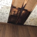 50979d32-1ee7-4782-9891-f71a6b04e997