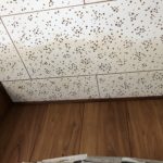 7decf399-2ff3-4d5b-b88f-cf2cc109d8f2