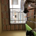 01b4e556-dc20-4c10-9ca8-6aa4477a83c1