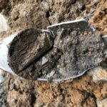 cd4cb5c3-80ed-4b41-9991-db8118462961