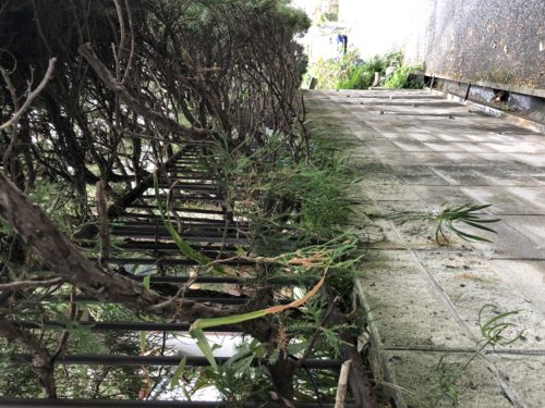 12c172e5-3bef-46d9-bff5-a4bf8b894b3b